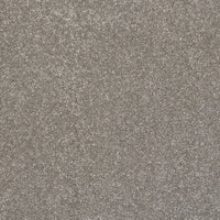Caress Carpet