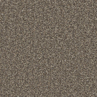 Portmore Classic 34oz Carpet