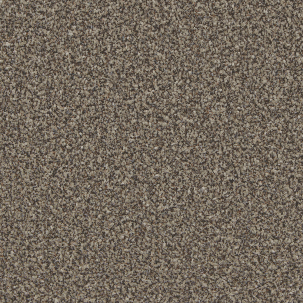 Portmore Elite 42oz Carpet