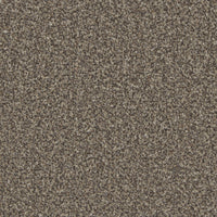 Portmore Elite 42oz Carpet