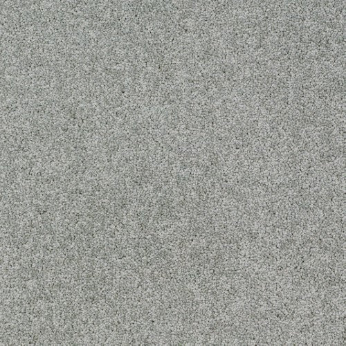 New Ambience Carpet