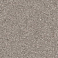 Portmore Elite 42oz Carpet