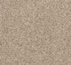 Garden Party Carpet