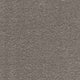 iSense Surprise Carpet