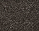 Smart Amazon Carpet