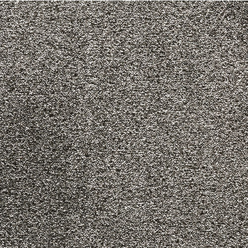 Endless Charm Carpet