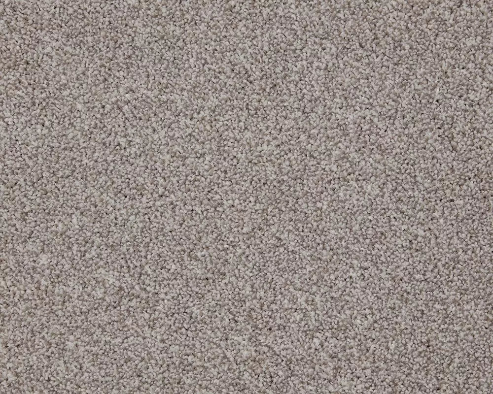 Smart Amazon Carpet