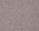 Smart Amazon Carpet