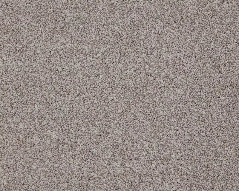 Smart Amazon Carpet