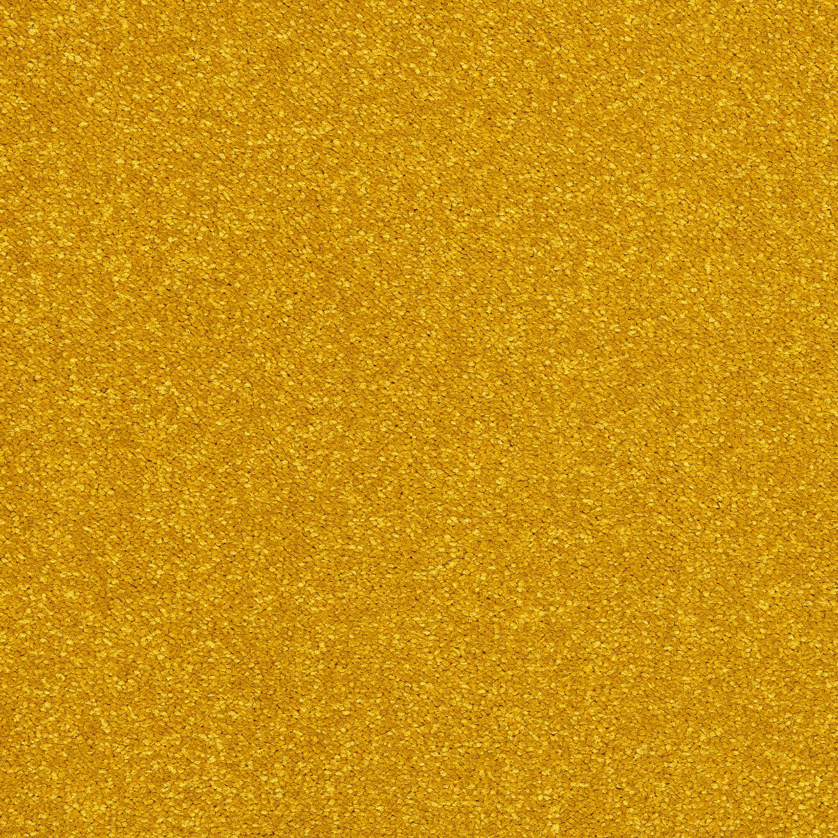 Finesse Carpet