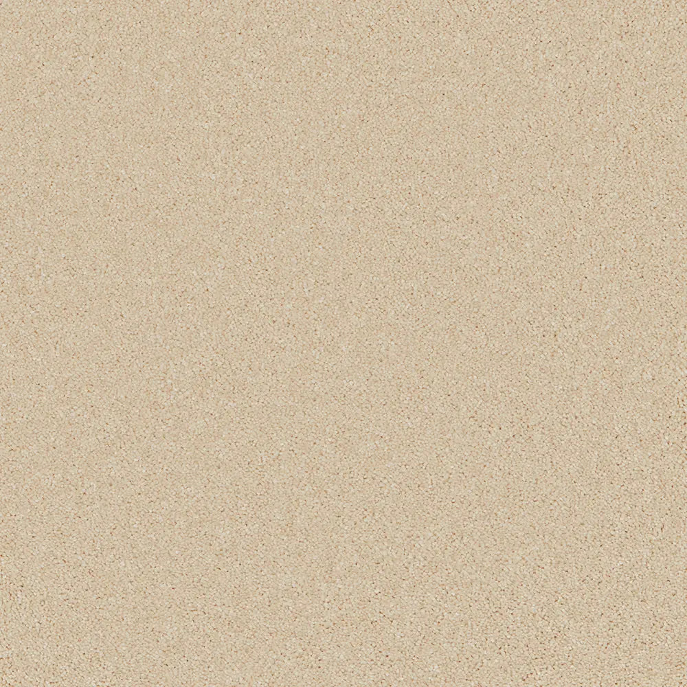 Bliss Carpet