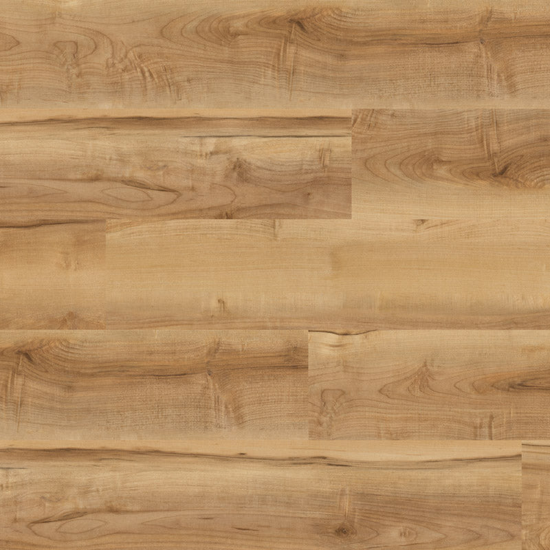 Polyflor Colonia LVT Flooring