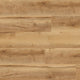 Polyflor Colonia LVT Flooring