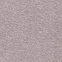 Endless Charm Carpet