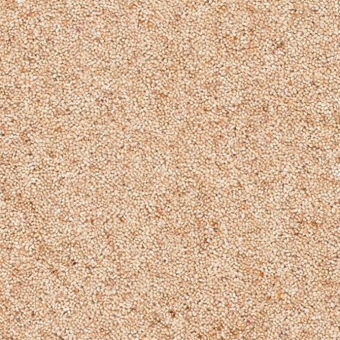 Orion Twist Major 60oz Carpet