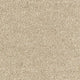 Aphrodite Plus Carpet