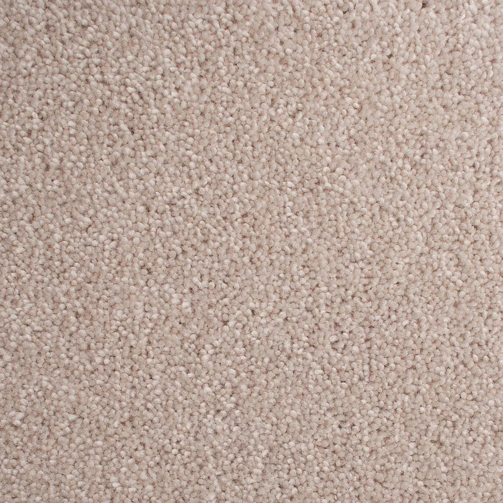 Highgate 50oz Carpet
