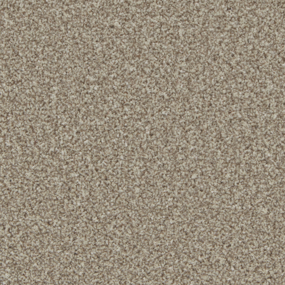 Portmore Elite 42oz Carpet