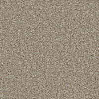 Portmore Elite 42oz Carpet