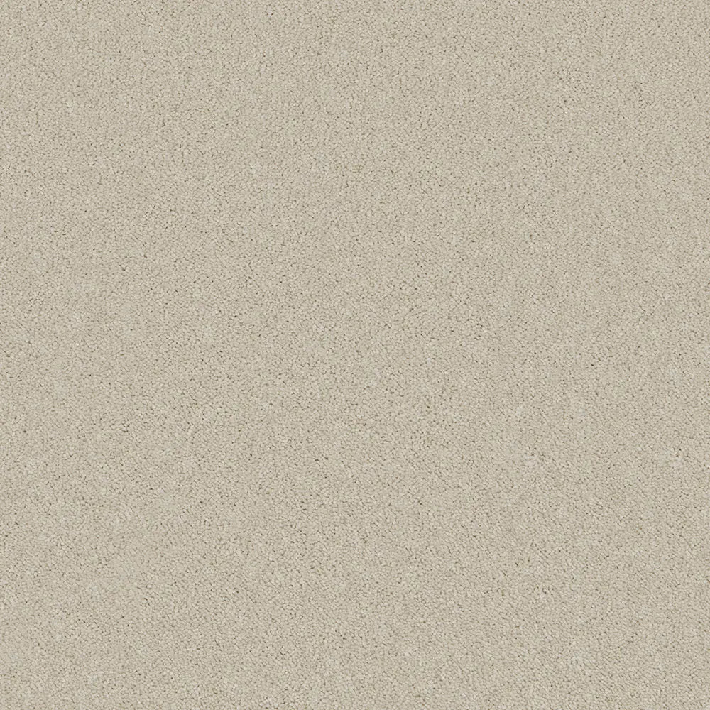Bliss Carpet