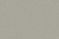 Tazmin Carpet - Ulster