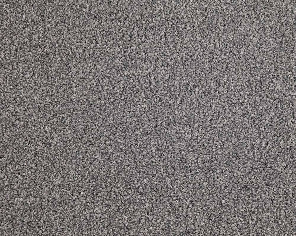Easy Living Choice 48oz Carpet