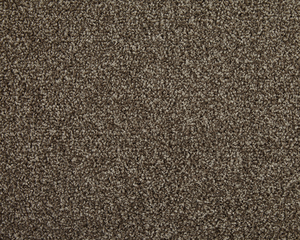 Easy Living Choice 48oz Carpet