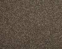 Easy Living Choice 48oz Carpet