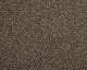 Easy Living Choice 48oz Carpet
