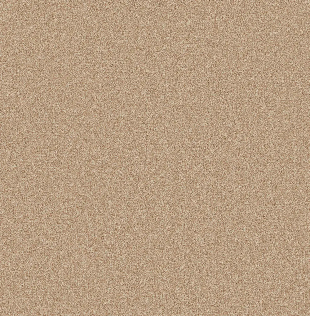 Woodland Carpet