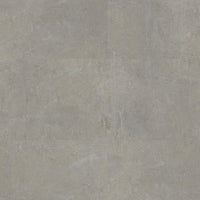 Polyflor Expona Commercial LVT Flooring
