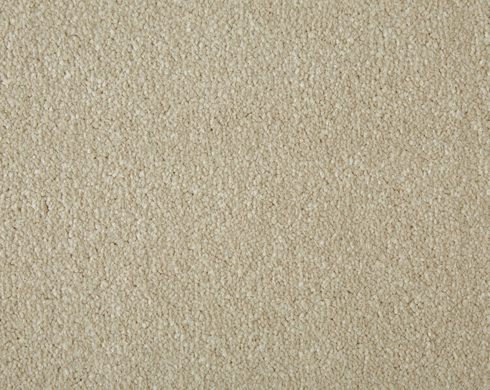 Easy Living Ultra Carpet
