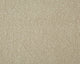 Easy Living Ultra Carpet