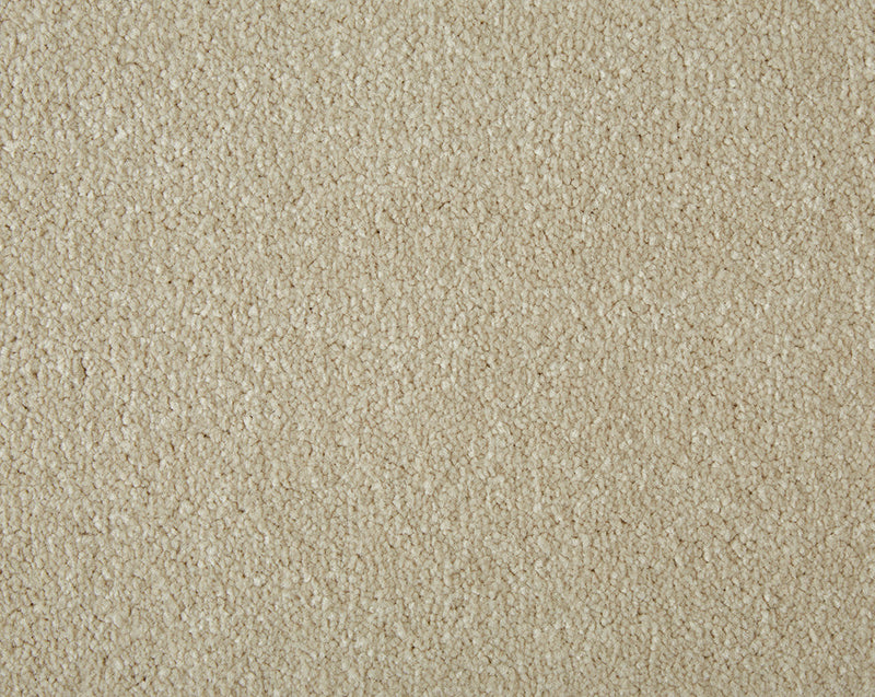 Easy Living Ultra Carpet