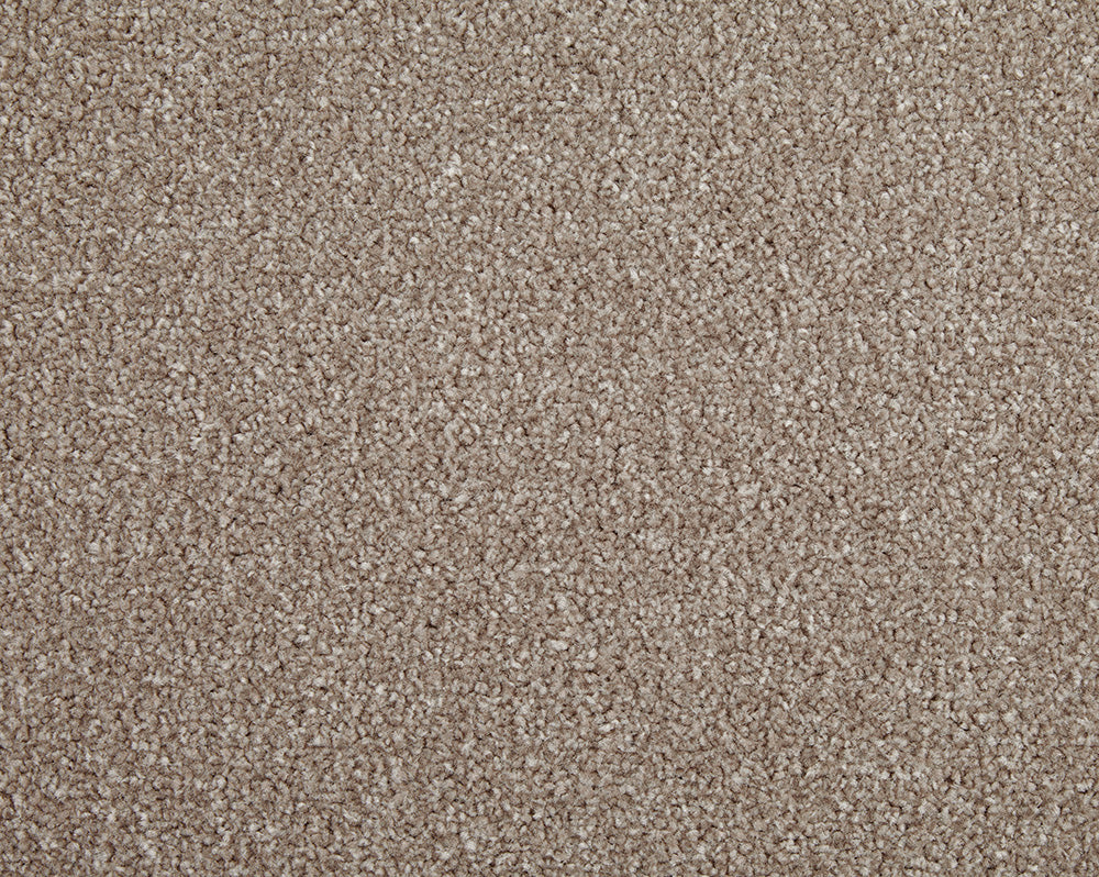Easy Living Choice 48oz Carpet
