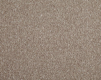 Easy Living Choice 48oz Carpet