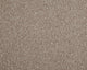 Easy Living Choice 48oz Carpet