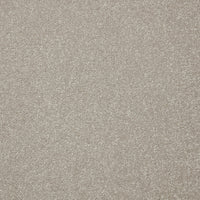 Easy Living Ultra Carpet