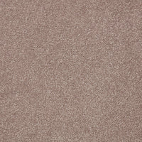Easy Living Ultra Carpet