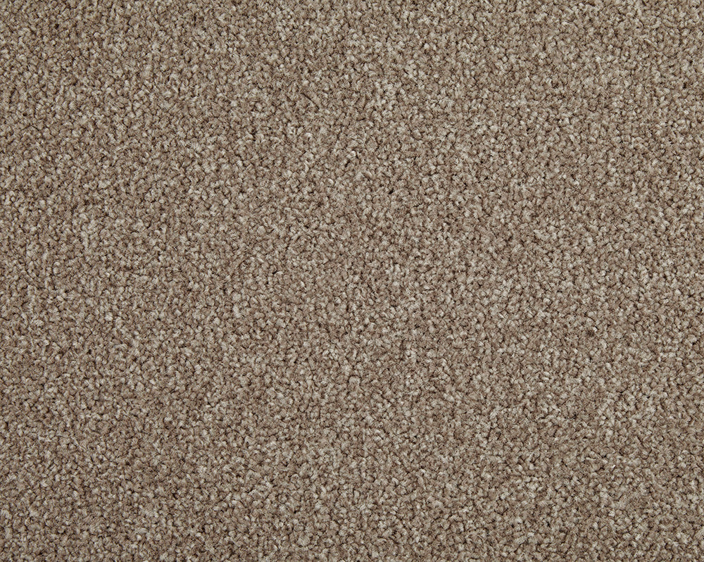 Easy Living Choice 48oz Carpet