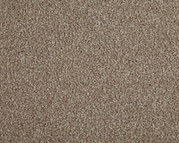 Easy Living Choice 48oz Carpet