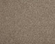 Easy Living Choice 48oz Carpet