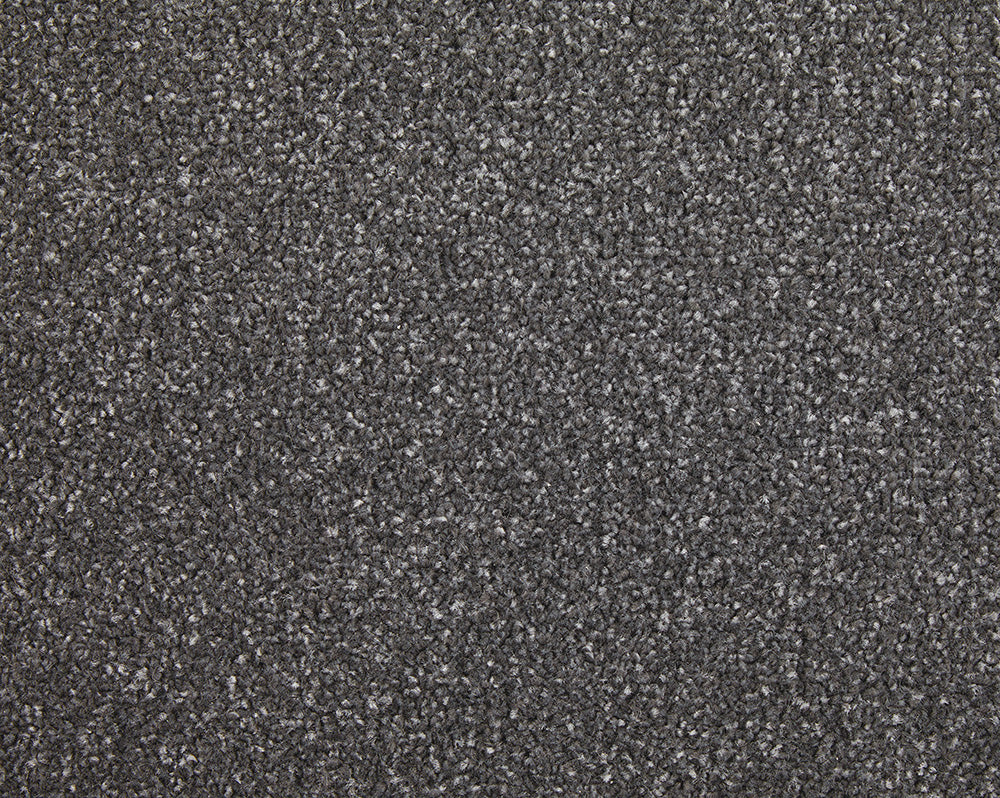 Easy Living Choice 48oz Carpet