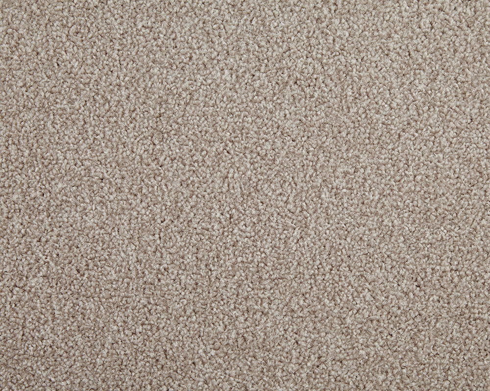 Easy Living Choice 48oz Carpet