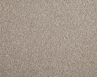 Easy Living Choice 48oz Carpet