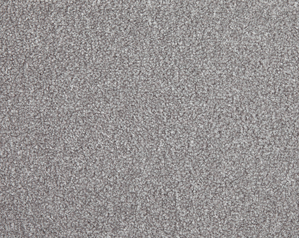Easy Living Choice 48oz Carpet
