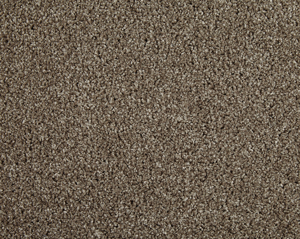 Easy Living Choice 48oz Carpet