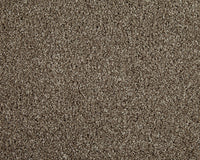 Easy Living Choice 48oz Carpet