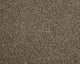 Easy Living Choice 48oz Carpet