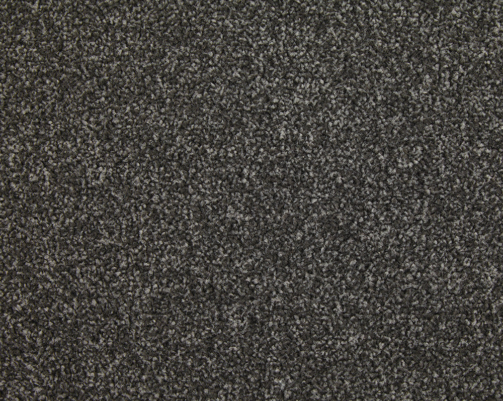 Easy Living Choice 48oz Carpet